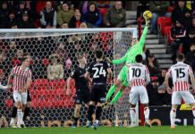 Den tidigare Odd-målvakten Leopold Wahlstedt återvänder till Eliteserien