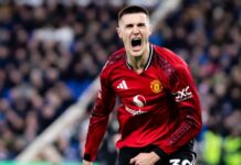 Carrick (och Berbatov) har räddat Sesko från ”Højlund-fällan”