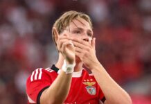 Jose Mourinho kommer att ta med sig sin norska favorit Andreas Schjelderup om han köps fri från Benfica