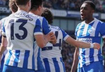 Brighton var trötta på att vara ”snälla killar” – de tog in MMA-idrottare
