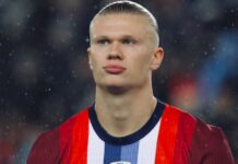 Går till offensiv! Will övertalar både Haaland och Klopp att skriva på
