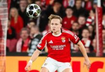 Tottenham gillade nog vad de såg av Andreas Schelderup i VM-