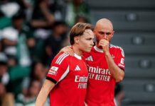 Tottenham bjöd 55 miljoner euro för Andreas Schjelderup