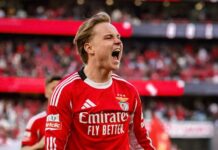 Förväntar sig ett stort bud på Andreas Schjelderup inom 24 timmar efter Cody Gakpos utträde från Liverpool