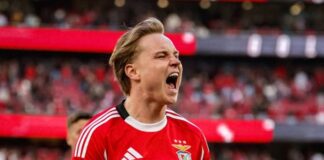 100 miljoner euro stoppade Andreas Schjelderups Premier League-dröm