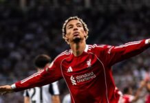 Mycket goda nyheter för Liverpool-supportrarna om Hugo Ekitike
